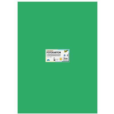 Folia, Bastelpapier, Fotokarton, (B)500 x (H)700 mm, 300 g/qm, smaragdgrn (300 g/m²) Folia, Bastelpapier, Fotokarton, (B)500 x (H)700 mm, 300 g/qm, smaragdgrn (300 g/m²)