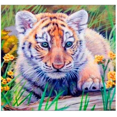 Norimpex 5D-Diamantmosaik - Tiger 40x30cm Norimpex 5D-Diamantmosaik - Tiger 40x30cm