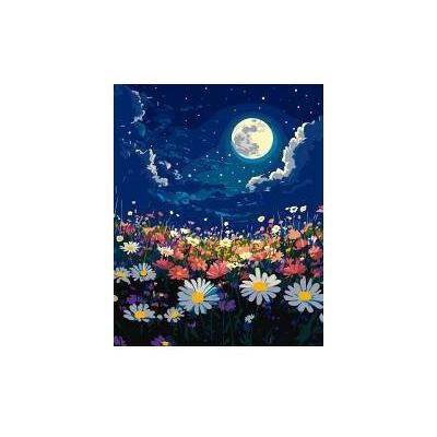 Ideyka Malen nach Zahlen - Mystische Nacht 40x50cm Ideyka Malen nach Zahlen - Mystische Nacht 40x50cm