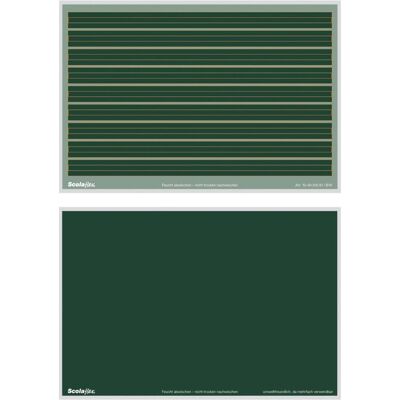 Staufen Tafel Lin.1 / blanko Plastik B1a Staufen Tafel Lin.1 / blanko Plastik B1a