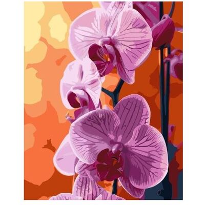 Maksik Malen nach Zahlen - Orchidee 40x50cm Maksik Malen nach Zahlen - Orchidee 40x50cm