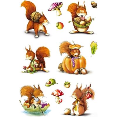 Herma Sticker, Sticker Eichhörnchen (42 Sticker) Herma Sticker, Sticker Eichhörnchen (42 Sticker)