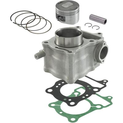 RMS, Motorrad Zubehör, RMS-ZYLINDER KOMPLETT HONDA FES 125 S-WINGS '07-'12 FES 125 PANTHEON '03-'06 NES 125 '00-'10 SES RMS, Motorrad Zubehör, RMS-ZYLINDER KOMPLETT HONDA FES 125 S-WINGS '07-'12 FES 125 PANTHEON '03-'06 NES 125 '00-'10 SES