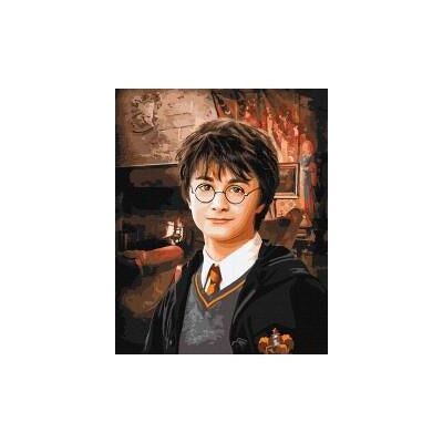 Ideyka Malen nach Zahlen - Harry Potter Ideyka Malen nach Zahlen - Harry Potter