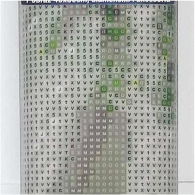 Norimpex Diamantmosaik - Pferd im Wald Norimpex Diamantmosaik - Pferd im Wald