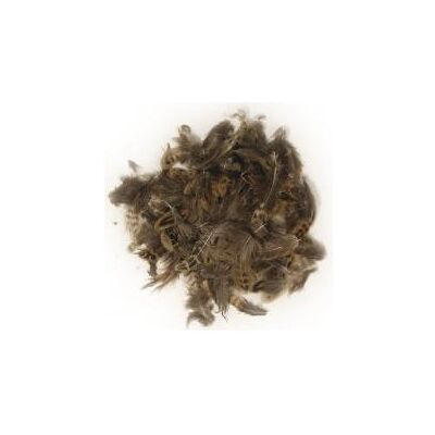 Rayher Federmischung, 10 g Rayher Federmischung, 10 g