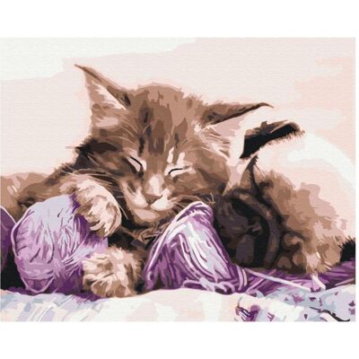 Syma Picture Paint it! Painting by numbers Cat and dog Syma Picture Paint it! Painting by numbers Cat and dog