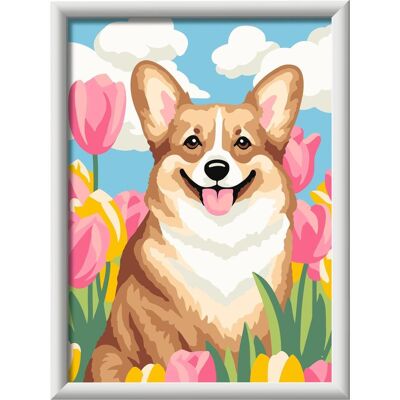 Ravensburger CreArt - Malen nach Zahlen - Corgi Ravensburger CreArt - Malen nach Zahlen - Corgi