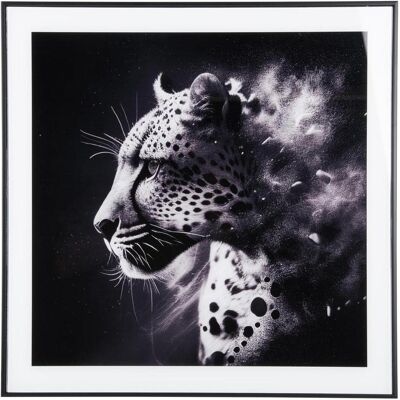 present time, Bilder, Leopard present time, Bilder, Leopard