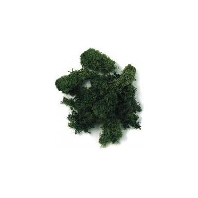 Rayher, Naturmaterialien, Islandmoos, dunkelgrün, 30 g Rayher, Naturmaterialien, Islandmoos, dunkelgrün, 30 g