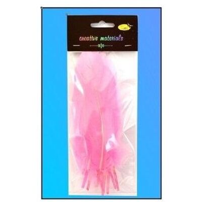 Teka, Naturmaterialien, Harte Federn, hellrosa, 10 Stk Teka, Naturmaterialien, Harte Federn, hellrosa, 10 Stk