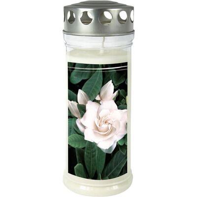 Magni, Kerzen, Gedenkkerze 75x210mm Gardenia (1 Stk.) Magni, Kerzen, Gedenkkerze 75x210mm Gardenia (1 Stk.)
