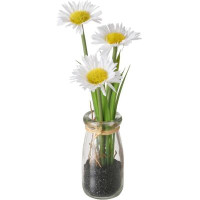 Magni, Kunstpflanzen, Kunst-Gänseblümchen/Glas weiss/gelb 23cm sortiert (23 cm) Magni, Kunstpflanzen, Kunst-Gänseblümchen/Glas weiss/gelb 23cm sortiert (23 cm)