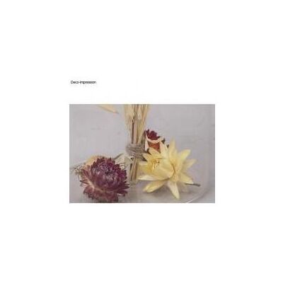 Rayher, Naturmaterialien, Strohblumen, 10 g Rayher, Naturmaterialien, Strohblumen, 10 g