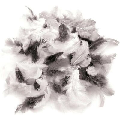 Glorex, Naturmaterialien, Deco- Federn Glorex, Naturmaterialien, Deco- Federn