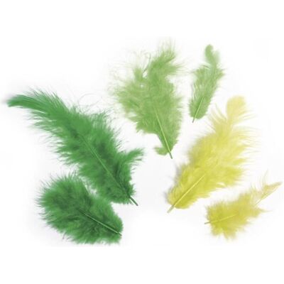 Rayher, Naturmaterialien, Federmischung grün 10g Rayher, Naturmaterialien, Federmischung grün 10g