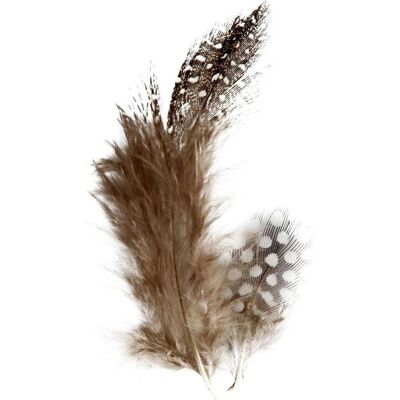 Creativ Company, Naturmaterialien, Perlhuhnfedern Creativ Company, Naturmaterialien, Perlhuhnfedern