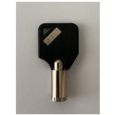 eSTUFF SINGLE MASTER KEY (F1), Notebook Security, Silber eSTUFF SINGLE MASTER KEY (F1), Notebook Security, Silber