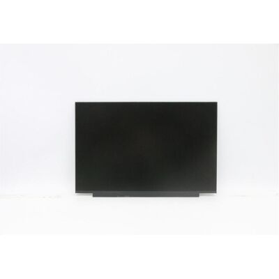 IBM FRU LCD SD10W73260, Notebook Ersatzteile, Silber IBM FRU LCD SD10W73260, Notebook Ersatzteile, Silber