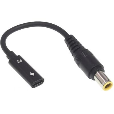 PowerGuard USB-C auf Lenovo IBM Thinkpad Adapter rundem Stecker (7.9 x 5.4mm) (90 W), Notebook Netzteil, Schwarz PowerGuard USB-C auf Lenovo IBM Thinkpad Adapter rundem Stecker (7.9 x 5.4mm) (90 W), Notebook Netzteil, Schwarz