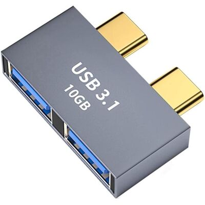 PowerGuard USB Typ-C zu (USB-C, 2 Ports), Dockingstation + USB Hub, Grau PowerGuard USB Typ-C zu (USB-C, 2 Ports), Dockingstation + USB Hub, Grau