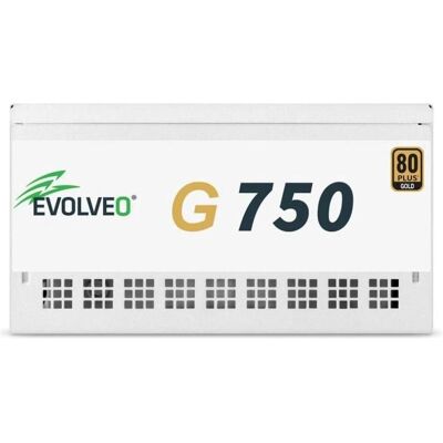 Montech EVOLVEO G750 zdroj 750W, 80+ GOLD, ATX 3.1, aPFC, 140 mm ventilátor, záruka 3 roky, bílý (750 W), PC Netzteil, Weiss Montech EVOLVEO G750 zdroj 750W, 80+ GOLD, ATX 3.1, aPFC, 140 mm ventilátor, záruka 3 roky, bílý (750 W), PC Netzteil, Weiss
