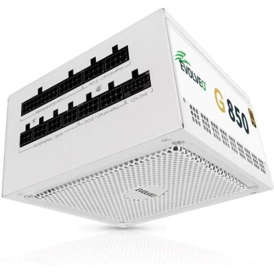 Evolveo G850 zdroj 850W, 80+ GOLD, ATX 3.1, aPFC, 140 mm ventilátor, záruka 3 roky, bílý (850 W), PC Netzteil, Weiss Evolveo G850 zdroj 850W, 80+ GOLD, ATX 3.1, aPFC, 140 mm ventilátor, záruka 3 roky, bílý (850 W), PC Netzteil, Weiss