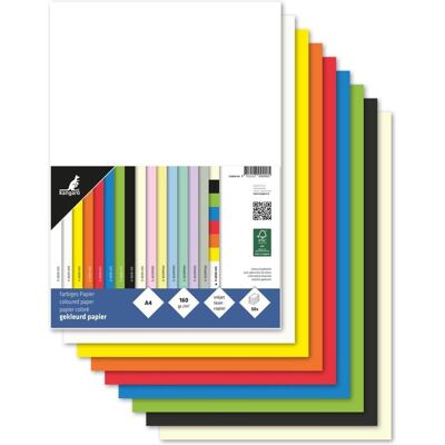 Kangaro, Kopierpapier, Multifunktionspapier, DIN A4, 160 g/qm, sortiert farbiges Papier, holzfrei, chlorfrei gebleicht, so (A4, 50 Blätter, 160 g/m²) Kangaro, Kopierpapier, Multifunktionspapier, DIN A4, 160 g/qm, sortiert farbiges Papier, holzfrei, chlorfrei gebleicht, so (A4, 50 Blätter, 160 g/m²)