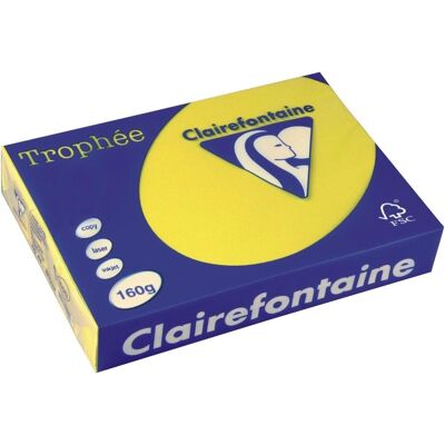 Clairefontaine, Kopierpapier, Trophée (A4, 250 Blätter, 160 g/m²) Clairefontaine, Kopierpapier, Trophée (A4, 250 Blätter, 160 g/m²)