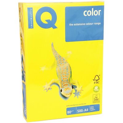 IQ, Kopierpapier, Kopierpapier 80 g/m², A4, 500 Blatt, Intensiv (A4, 500 Blätter, 80 g/m²) IQ, Kopierpapier, Kopierpapier 80 g/m², A4, 500 Blatt, Intensiv (A4, 500 Blätter, 80 g/m²)