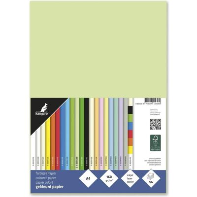 Kangaro, Kopierpapier, Multifunktionspapier, DIN A4, 160 g/qm, helles grün beidseitig bedruckbar, holzfrei, chlorfrei gebl (A4, 50 Blätter, 160 g/m²) Kangaro, Kopierpapier, Multifunktionspapier, DIN A4, 160 g/qm, helles grün beidseitig bedruckbar, holzfrei, chlorfrei gebl (A4, 50 Blätter, 160 g/m²)