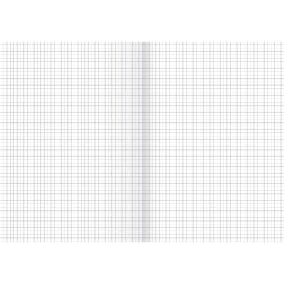 Staufen, Kopierpapier, Kanzleipapier, 80 g/qm, DIN A3, kariert 5mm, weiss, 250 Blatt (A3, 250 Blätter, 80 g/m²) Staufen, Kopierpapier, Kanzleipapier, 80 g/qm, DIN A3, kariert 5mm, weiss, 250 Blatt (A3, 250 Blätter, 80 g/m²)