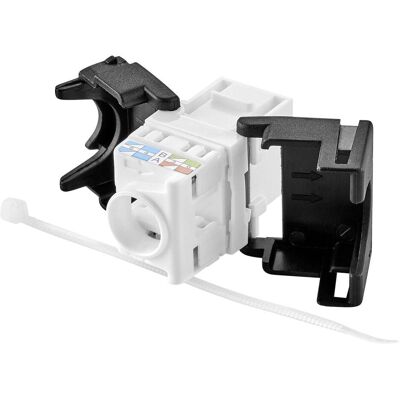 Renkforce CAT6A -Modul, werkzeugfrei (Keystone Modul), Zubehör Netzwerk Renkforce CAT6A -Modul, werkzeugfrei (Keystone Modul), Zubehör Netzwerk