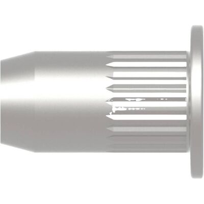 Gesipa, Möbelausstattung, Blindnietmuttern Stahl-gerändelt M 6 x 9 x 21, 250 St. (250 Stk.) Gesipa, Möbelausstattung, Blindnietmuttern Stahl-gerändelt M 6 x 9 x 21, 250 St. (250 Stk.)