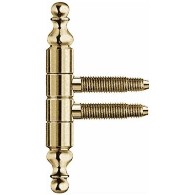 SFS, Türband, Einbohrband mit Zierkopf Türband 3-Gewindebolzen ø 13mm Stahl vermessingt SFS, Türband, Einbohrband mit Zierkopf Türband 3-Gewindebolzen ø 13mm Stahl vermessingt