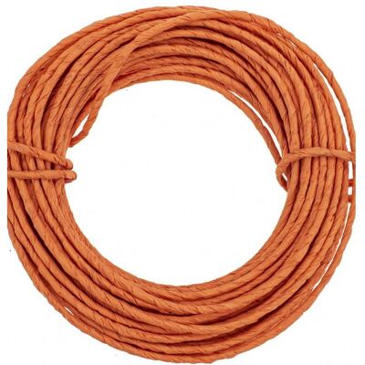 Magni, Draht, GLOREX 6 1280 232 - Papierdraht, 2 mm, Länge 10 m, orange, zum Basteln und Binden von Gestecken und (10 m) Magni, Draht, GLOREX 6 1280 232 - Papierdraht, 2 mm, Länge 10 m, orange, zum Basteln und Binden von Gestecken und (10 m)