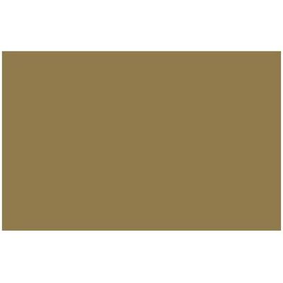 Winsor & Newton, Künstlerfarbe + Bastelfarbe, Ac Spray 400Ml Iridescent Antique Gold 0237 (400 ml) Winsor & Newton, Künstlerfarbe + Bastelfarbe, Ac Spray 400Ml Iridescent Antique Gold 0237 (400 ml)