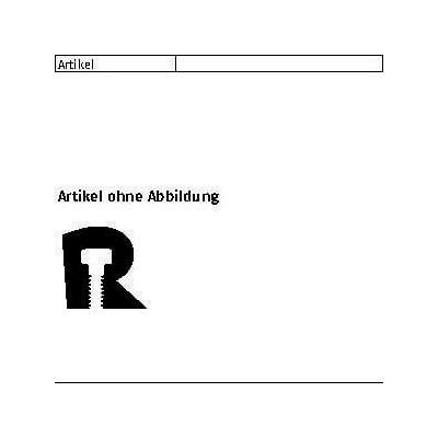 Reyher, Dübel, Nageldübel R 89801 8 x 80 PZ Schr. Stahl galvanisch verzinkt/Dübel PA (100 Stk.) Reyher, Dübel, Nageldübel R 89801 8 x 80 PZ Schr. Stahl galvanisch verzinkt/Dübel PA (100 Stk.)