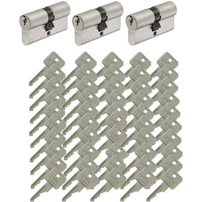 Abus, Türschloss + Schliesszylinder, 3er A93 30/40 Doppelzylinder gl.+50 Schlüssel (Profildoppelzylinder) Abus, Türschloss + Schliesszylinder, 3er A93 30/40 Doppelzylinder gl.+50 Schlüssel (Profildoppelzylinder)