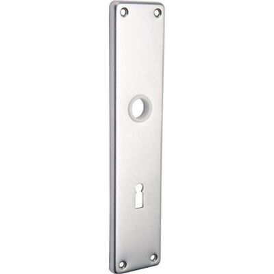 EDI, Türgriff + Türgarnitur, Renovierschild 220 Z Edelstahl F00 BB Entfernung 72 mm (Türgriff) EDI, Türgriff + Türgarnitur, Renovierschild 220 Z Edelstahl F00 BB Entfernung 72 mm (Türgriff)