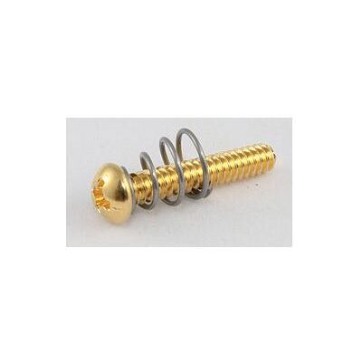 AllParts AP GS 0007-002 PU Schrauben/Federn gold, Zubehör Instrumente, Gold AllParts AP GS 0007-002 PU Schrauben/Federn gold, Zubehör Instrumente, Gold