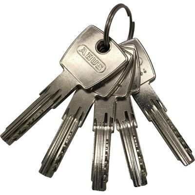 Abus, Türschloss + Schliesszylinder, Profilzylinder D6PSN 30/30 BK Messing Vernickeltes Messing, 30/30 mm (Profilzylinder) Abus, Türschloss + Schliesszylinder, Profilzylinder D6PSN 30/30 BK Messing Vernickeltes Messing, 30/30 mm (Profilzylinder)