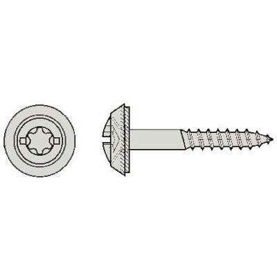 Spano-Mur, Schrauben, Fassadenschrauben A2 (100 Schrauben pro Stück) Spano-Mur, Schrauben, Fassadenschrauben A2 (100 Schrauben pro Stück)