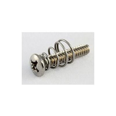 AllParts AP GS 0064-005 PU Vintage Schrauben SS, Zubehör Instrumente, Silber AllParts AP GS 0064-005 PU Vintage Schrauben SS, Zubehör Instrumente, Silber
