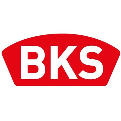 Magni, Türschloss + Schliesszylinder, BKS Rohling (10 Stück) für Profilzylinder Serie PZ 88 & 89 und 31 Magni, Türschloss + Schliesszylinder, BKS Rohling (10 Stück) für Profilzylinder Serie PZ 88 & 89 und 31