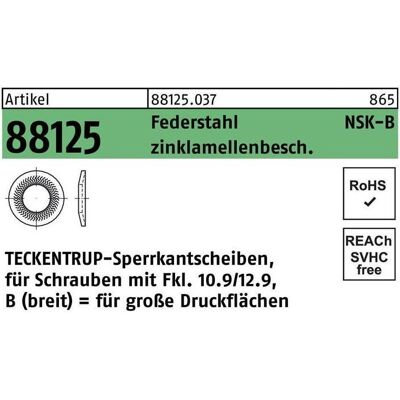 Teckentrup - 88125 NSK-B 10 - Federstahl - Lock washer Teckentrup - 88125 NSK-B 10 - Federstahl - Lock washer