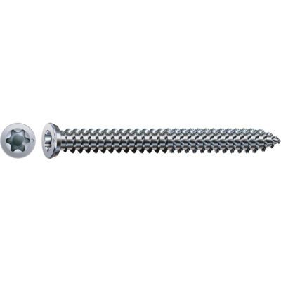 Spax, Schrauben, Spax-Ra Flachsenkkopf T-Star Plus T30 Vollgewinde Wirox (100 Schrauben pro Stück, 7.5 x 120 mm) Spax, Schrauben, Spax-Ra Flachsenkkopf T-Star Plus T30 Vollgewinde Wirox (100 Schrauben pro Stück, 7.5 x 120 mm)