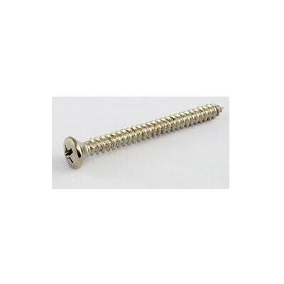 AllParts AP GS 0005-005 Schrauben f. Halspl. SS, Zubehör Instrumente AllParts AP GS 0005-005 Schrauben f. Halspl. SS, Zubehör Instrumente
