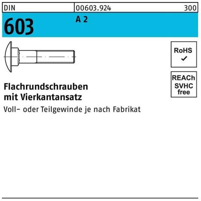 SanDisk Schrauben, DIN 603 Flachrundschraube M6x55 Edelstahl A2 blank m. Vierkantansatz SanDisk Schrauben, DIN 603 Flachrundschraube M6x55 Edelstahl A2 blank m. Vierkantansatz