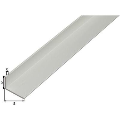 Magni, Profil + Stange, Alberts 473723 Winkelprofil Aluminium, silberfarbig eloxiert 1000 x 20 x 10 mm Magni, Profil + Stange, Alberts 473723 Winkelprofil Aluminium, silberfarbig eloxiert 1000 x 20 x 10 mm